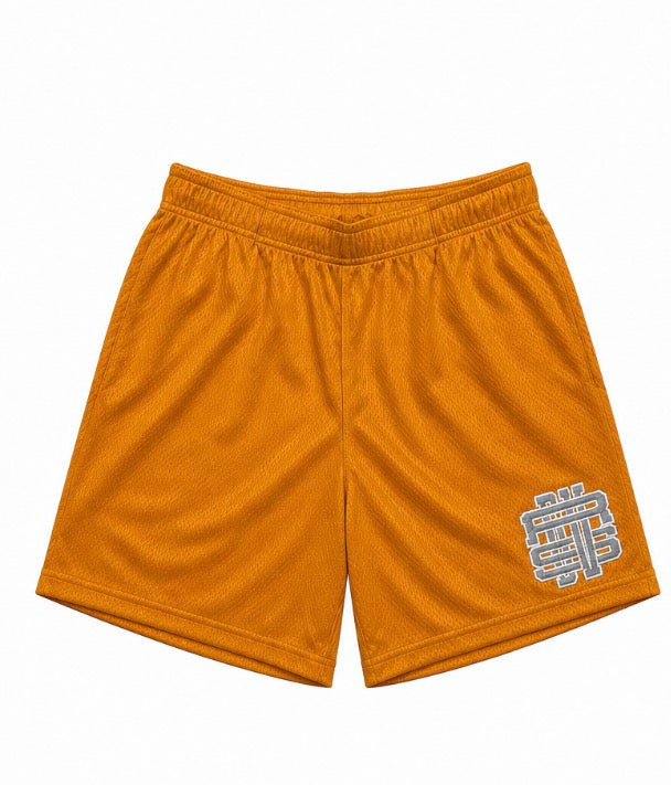 DVRSFD Basics Gold/Grey Shorts
